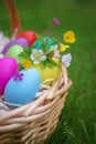 Colorful eggs with springtime flowers in basket on green grass Royalty Free Stock Photo