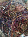 Colorful electrical useless wires. electric waste