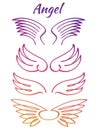 Colorful elegant angel flying wings collection