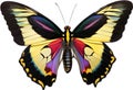Colorful and elegant butterfly image. AI-Generated. Royalty Free Stock Photo