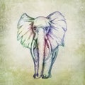 Colorful elephant drawing