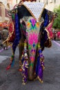 Colorful elephant at the Gangaur Festival Jaipur Rajasthan India