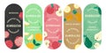 Colorful emblem set for kombucha package design Royalty Free Stock Photo