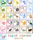 Colorful english alphabet with pictures of cartoon animals and titles for children education