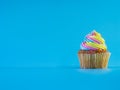 Colorful and enteresting cupcake isolated on blue background studio close up shot.