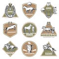 Colorful Equestrian Sport Labels Set