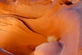 colorful eroded red rock in slot canyon contrasts ball of spinifex , antelope valley, page, arizona, usa