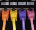 Colorful ethernet cables connected in a row into patch panel. Royalty Free Stock Photo