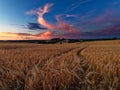 The colorful evening sky above the field Royalty Free Stock Photo