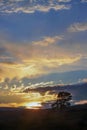 Colorful evening sky over fields Royalty Free Stock Photo