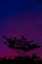 Colorful Evenning Sky (Blue) Royalty Free Stock Photo