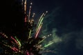 colorful explosion of fireworks near tree and forest