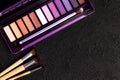 Colorful eye shadow palette and set of makeup brushes on black background Royalty Free Stock Photo