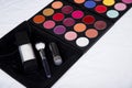 Colorful eyeshadow palette and blush for make-up closeup