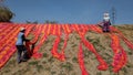 Colorful fabric drying after traditional dye process