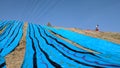 Colorful fabric drying after traditional dye process