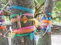 Colorful fabric stripes wrapped around the body of coconut trees