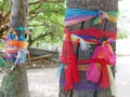 Colorful fabric stripes wrapped around the body of coconut trees