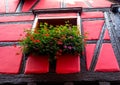 The colorful facades of the houses of the village of Riquewhir, in Alsace, France