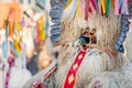 Colorful face of Kurent, Slovenian traditional mask