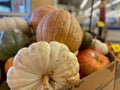 colorful Fall autumn display in a grocery store pumpkins and gourds close Royalty Free Stock Photo