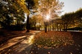 Colorful fall autumn park Royalty Free Stock Photo