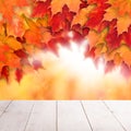 Colorful fall background. Autumn maple leaves and abstract sun light with empty white wooden board background Royalty Free Stock Photo