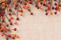 Colorful Fall Berries Against a Burlap Background