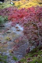 Colorful fall color leaves in Eikando Zenrinji gardens in Kyoto, Japan Royalty Free Stock Photo