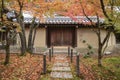 Colorful fall color leaves in Eikando Zenrinji gardens in Kyoto, Japan Royalty Free Stock Photo