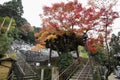 Colorful fall color leaves in Eikando Zenrinji gardens in Kyoto, Japan Royalty Free Stock Photo