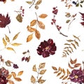 Colorful fall floral seamless pattern on white background. Watercolor red, burgundy, purple flowers, dry orange leaves, foliage Royalty Free Stock Photo