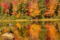 Fall colors along the Androscoggin River in Milan, New Hampshire