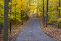 Colorful Fall Foliage Along a Beautiful Path #1 Royalty Free Stock Photo