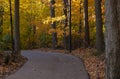 Colorful Fall Foliage Along a Beautiful Path #2 Royalty Free Stock Photo