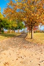 Colorful fall foliage along public path in Washington D.C Royalty Free Stock Photo