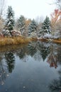 Colorful fall foliage evergreen trees new snow water reflection Boise Idaho vertical Royalty Free Stock Photo