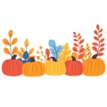 A colorful fall foliage scene with pumpkins. vector Royalty Free Stock Photo