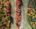 Colorful fall foliage at snow basin in Utah Royalty Free Stock Photo