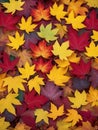 Colorful Fall Leaves Background in Soft Lighting.AI Generated