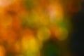 Colorful Fall Leaves Blurred Background to use as a design element with copy space. It`s horizontal but can be vertical