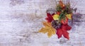 Colorful fall leaves border with blank antique rustic  wood background; autumn, Thanksgiving, Halloween, seasonal nature sign with Royalty Free Stock Photo