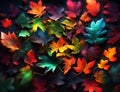 Colorful fall leaves