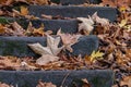 Colorful fall leaves gathering in the edges of steps Royalty Free Stock Photo