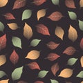 Colorful fall leaves seamless pattern vector for decoration on Autumn season. Royalty Free Stock Photo