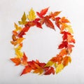 Colorful fall leaves on white background. Autumn frame. Flat lay, top view, copy space