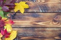 Colorful fall maple leaves on rustic wooden background. Life cycle of fall leaf. Thanksgiving holidays concept. Green, yellow and Royalty Free Stock Photo