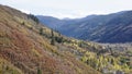 A colorful fall on the mountain side in Aspen Royalty Free Stock Photo