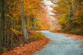 Colorful fall path Royalty Free Stock Photo