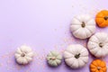 Colorful Fall Pumpkins and Confetti on Soft Pastel Background. Royalty Free Stock Photo